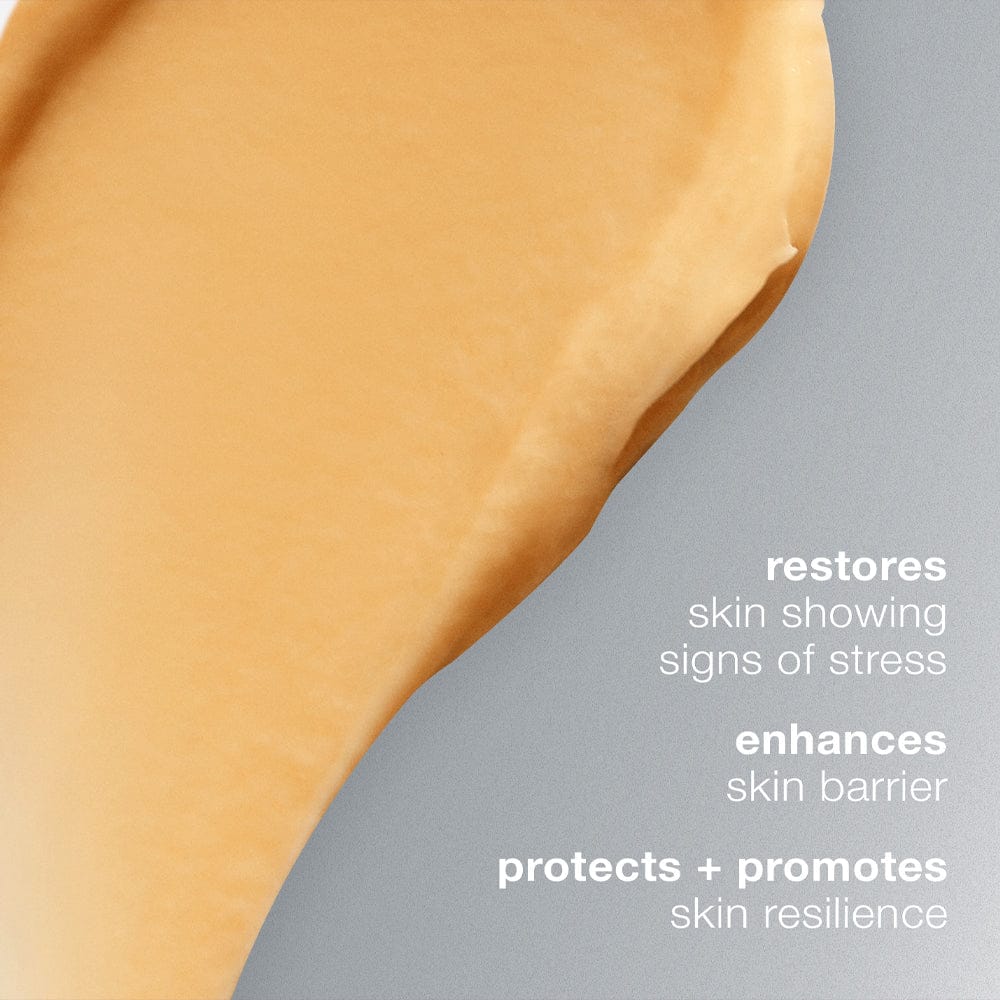 Dermalogica Masks Dermalogica Multivitamin Power Recovery Mask 75ml