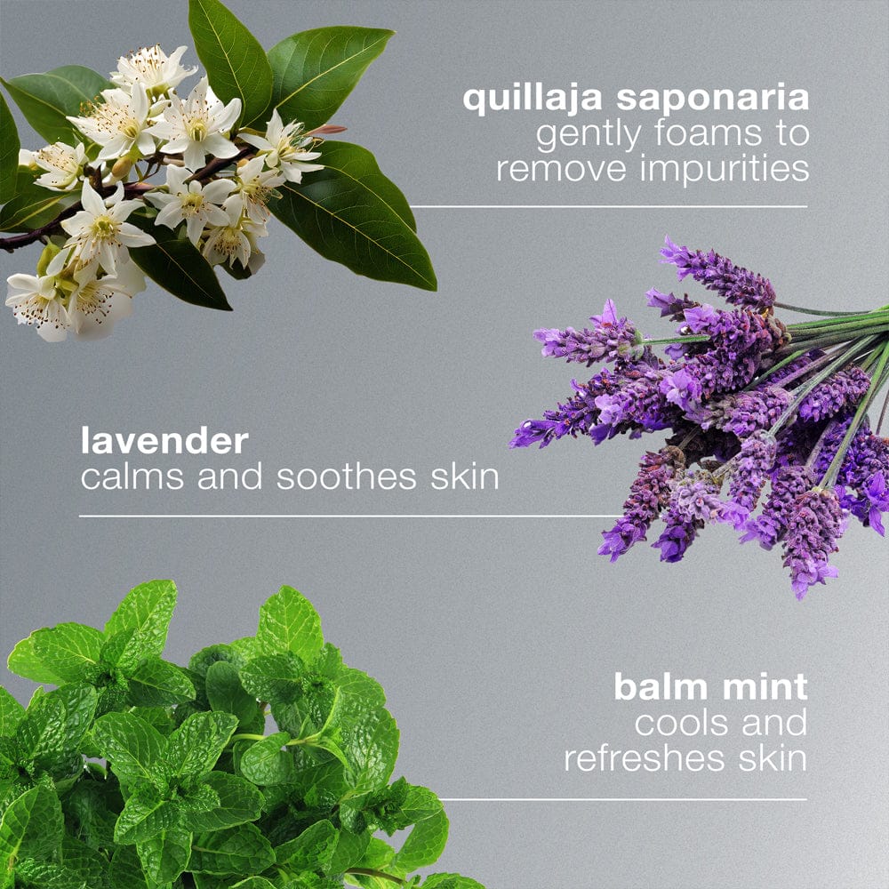 Dermalogica Cleanser Dermalogica Special Cleansing Gel