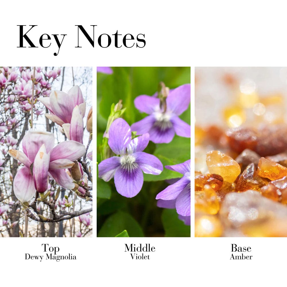 Elizabeth Arden Women's Fragrance Elizabeth Arden 5th Avenue Eau de Parfum Spray 125ml