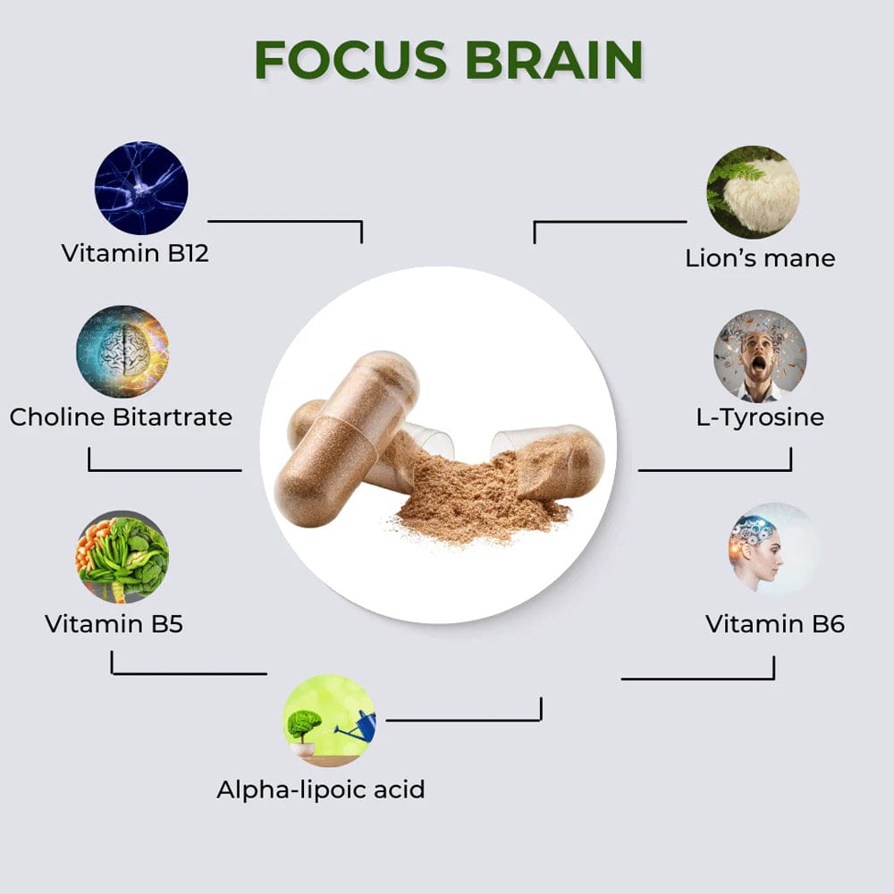 fabÜ Vitamins & Supplements fabÜ FOCUS BRAIN 60 Capsules