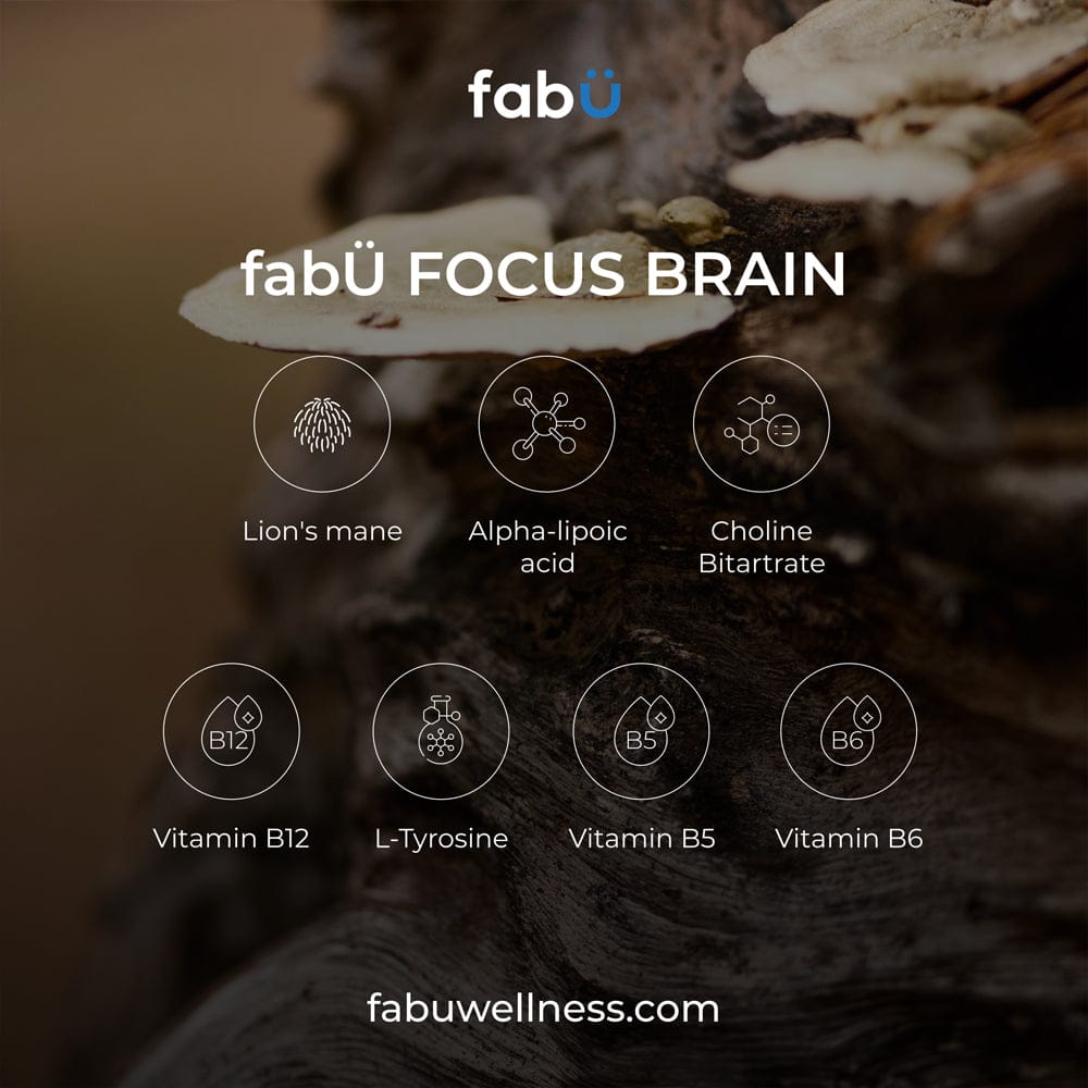 fabÜ Vitamins & Supplements fabÜ FOCUS BRAIN 60 Capsules