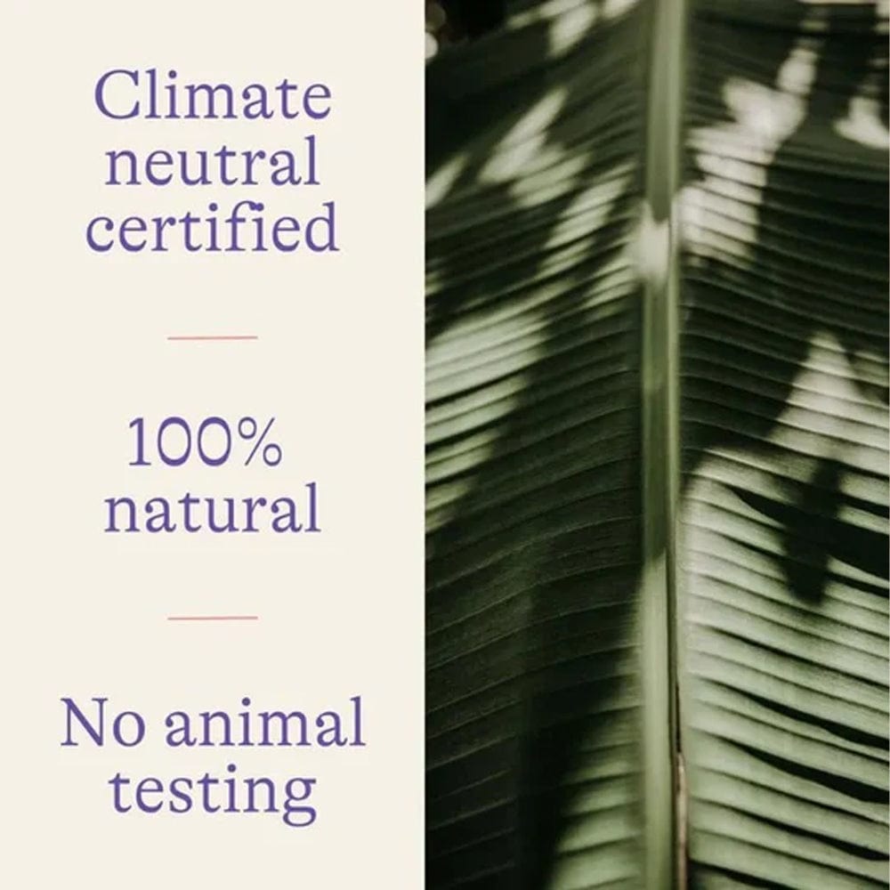 Lansinoh Nipple Cream Lansinoh Lanolin Nipple Cream 40ml