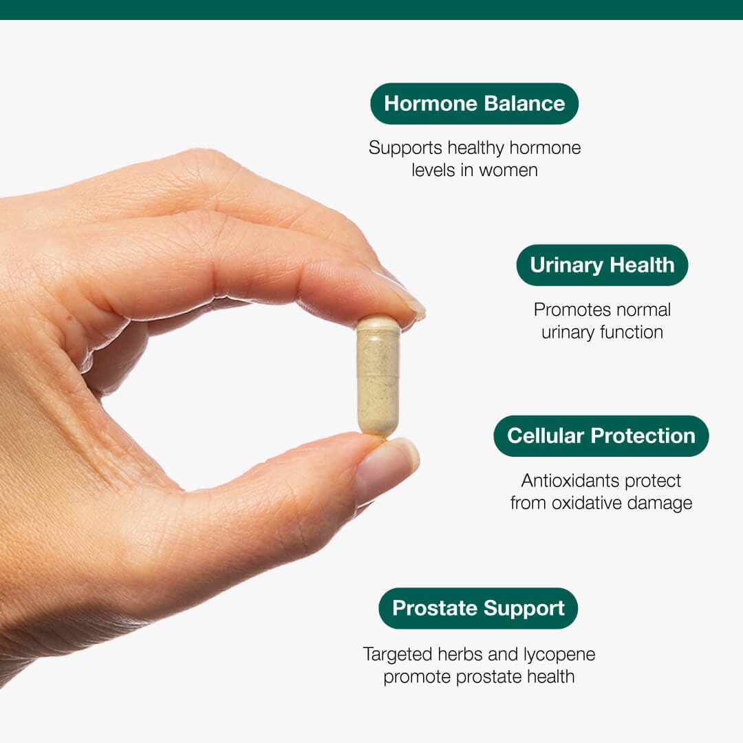 Metagenics Vitamins & Supplements Metagenics Saw Palmetto + Stinging Nettle Complex 60 Capsules