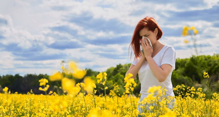 Top Tips for Allergy Sufferers