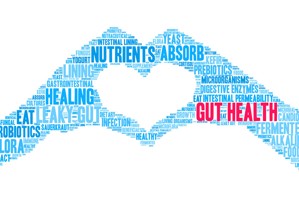 Best Supplements for Gut Health in Ireland