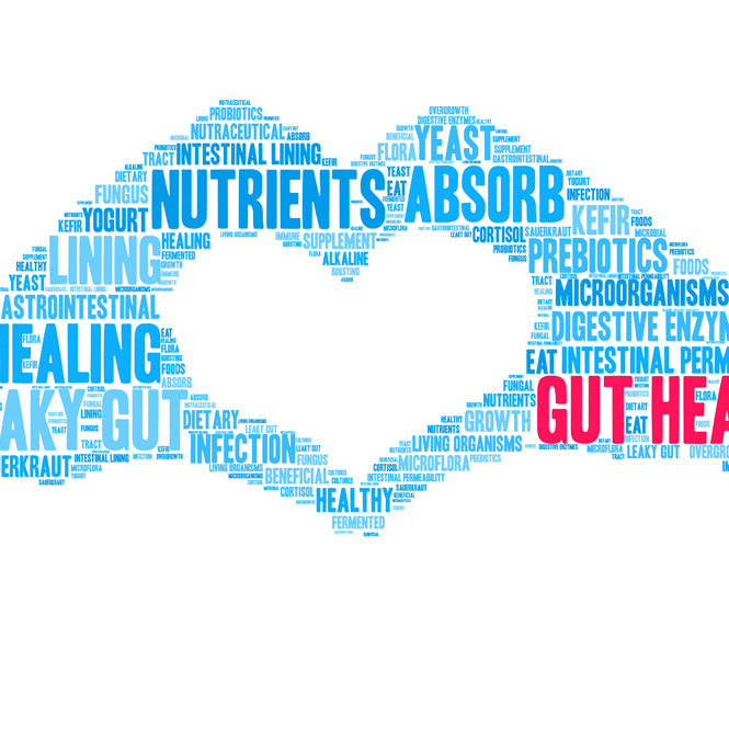 Best Supplements for Gut Health in Ireland