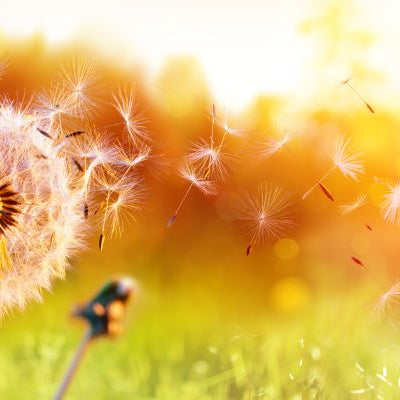 What is best hayfever treatment for you?