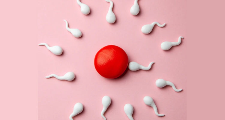 l-carnitine miscarriage How We Conceived Our Rainbow Babies After in Our 30s & 40s Neuroford-LC Folic Acid 1.5 Mg