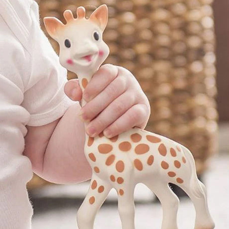 Baby Accessories