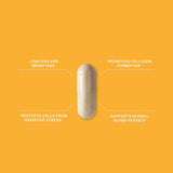 Advanced Nutrition Vitamins & Supplements Advanced Nutrition Programme Skin Vit C 60 Capsules