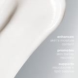 Dermalogica Moisturiser Dermalogica Intensive Moisture Balance Moisturiser