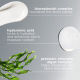 Dermalogica Moisturiser Dermalogica Intensive Moisture Balance Moisturiser