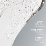 Dermalogica Cleanser Dermalogica Special Cleansing Gel