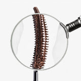 Hildun Beauty Mascara Hildun Power Precision Peptide Mascara