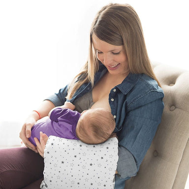 Lansinoh Breast Feeding Accessory Lansinoh Breastfeeding Pillow