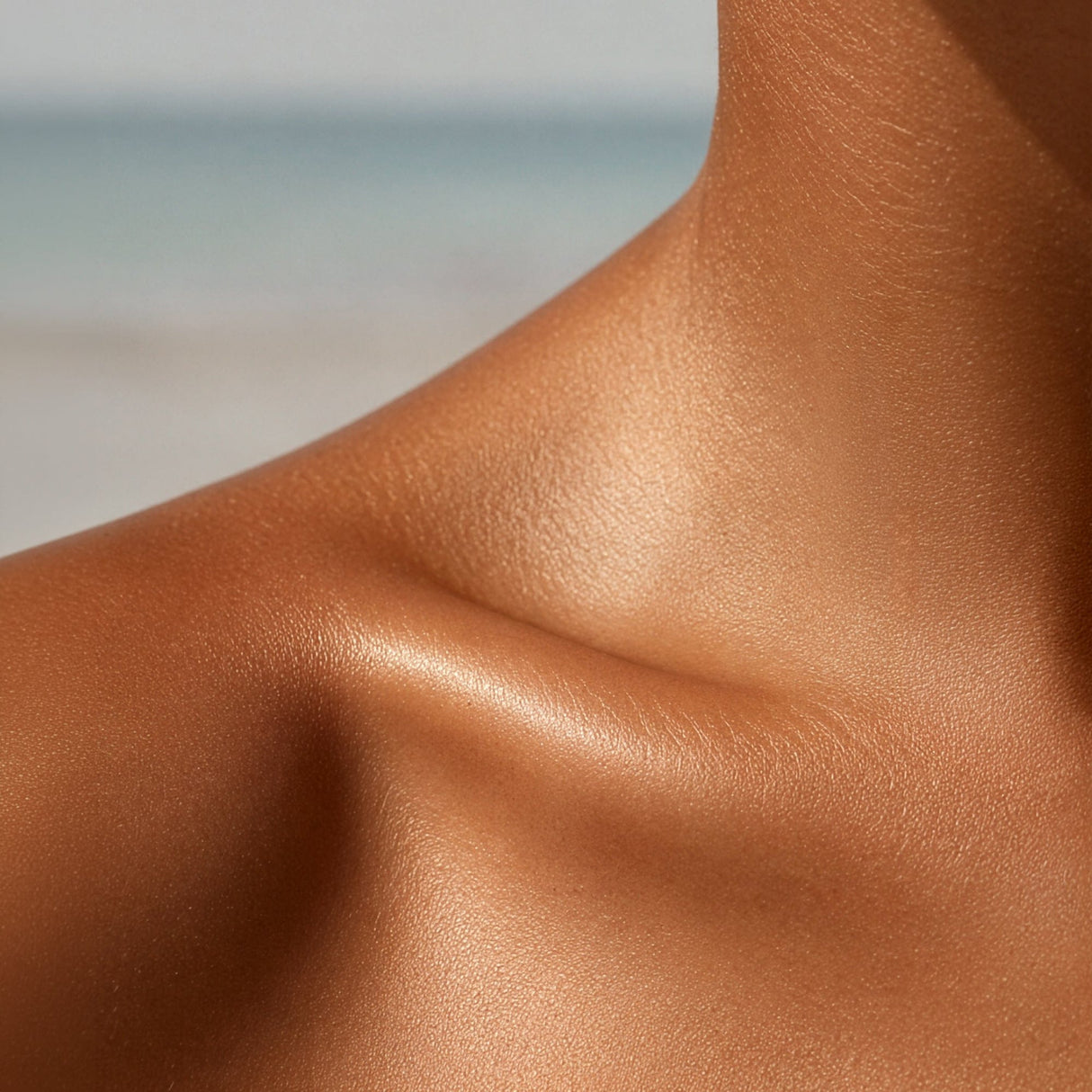 Lisa & Co. Tan Lisa & Co. Gradual Tan Moisturiser