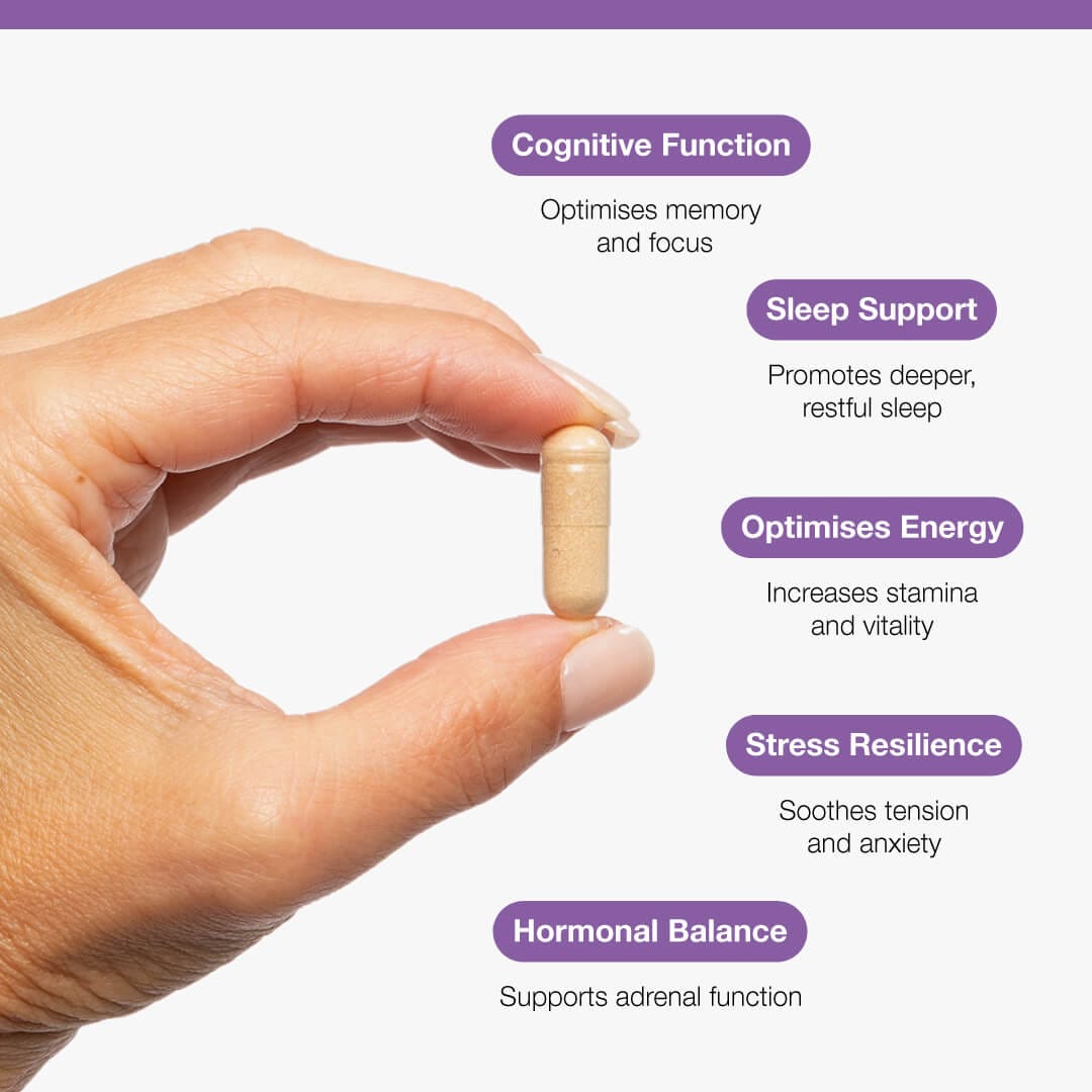 Metagenics Vitamins & Supplements Metagenics Ashwagandha 500mg 60 Capsules