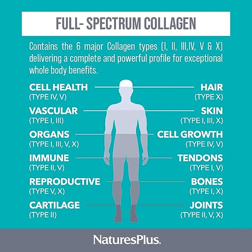 6 major collagen types